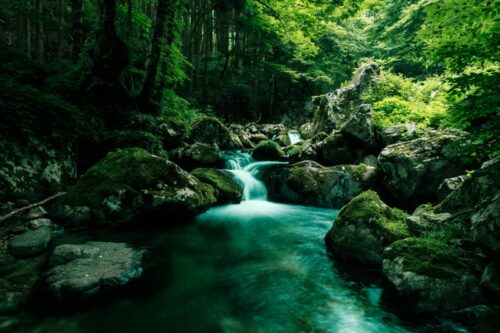 031Kazuki17103_TP_V4